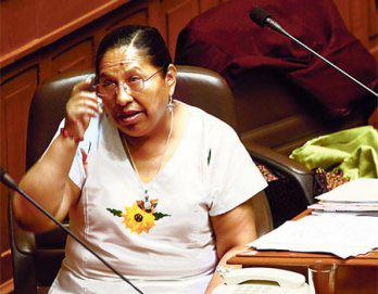 Caso Sumire fue abordado en el pleno del Congreso