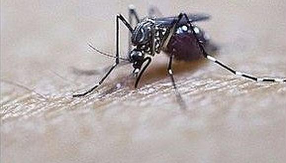 Convocarán a reunión de autoridades por aumento de casos de chikungunya