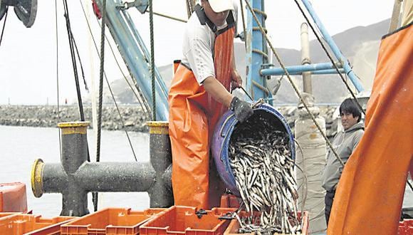 Produce estableció cuotas pesqueras