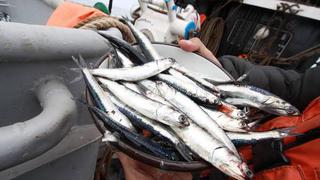 Sociedad Nacional de Pesquería confía en replicar resultados del 2020
