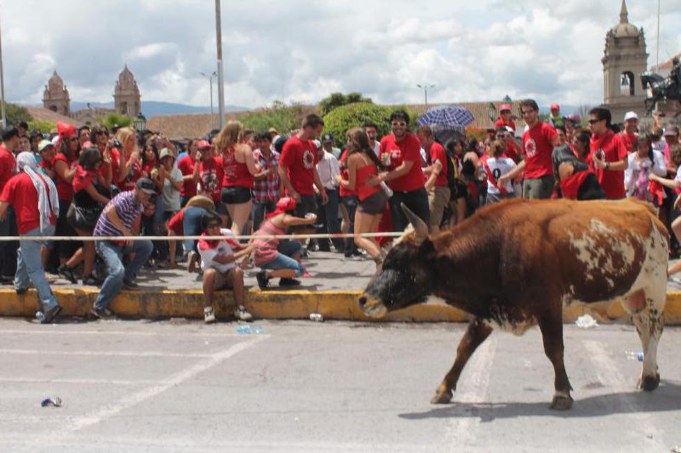 Ayacucho vibra con típico Pascua Toro