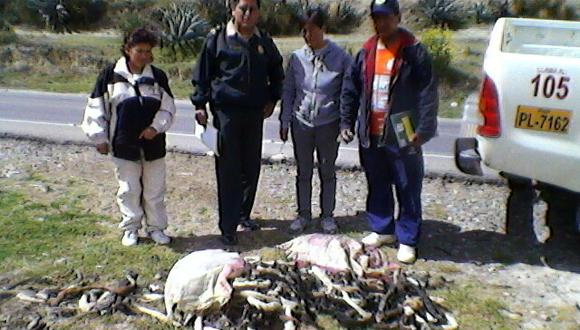 Hallan 200 colas de perro que servirían para preparar comida típica  