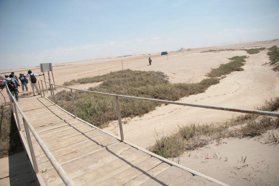 Inmigrantes dominicanos intentaron cruzar a Chile por paso no habilitado