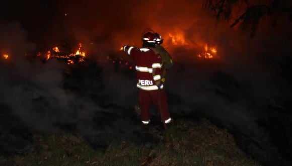 Chimbote: Incendio en Vivero Forestal genera alarma