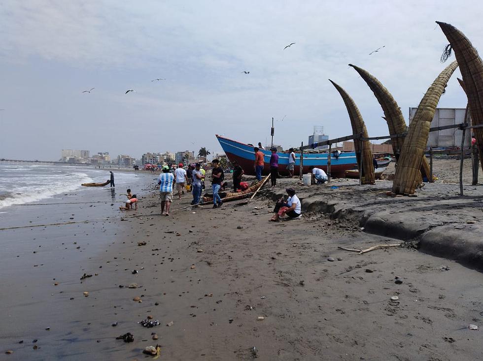 Aparecen especies marinas muertas en playas de Chiclayo (VIDEO Y FOTOS)