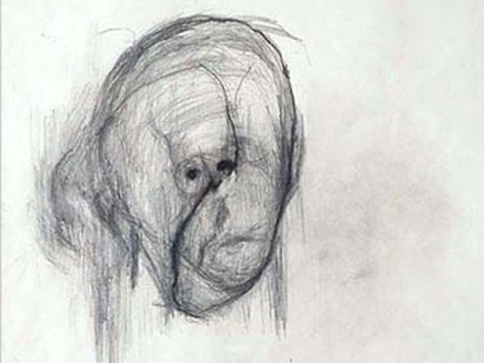 Fotos:  Autorretratos del Alzhéimer