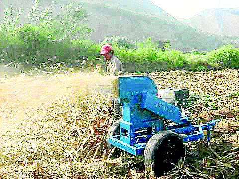 ​Cortador de chala estuvo a punto de volarle una pierna a obrero