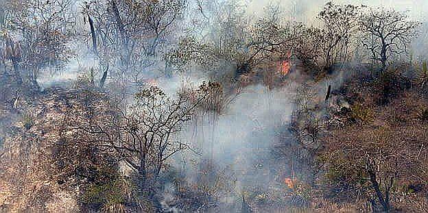 Piura: Otro incendio forestal en la vía Piura - Chulucanas