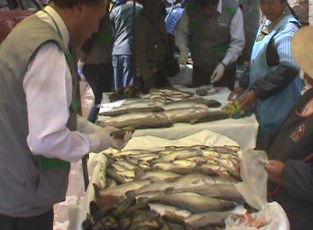 Juliaca: Municipalidad de San Román realizó operativo de saneamiento ambiental