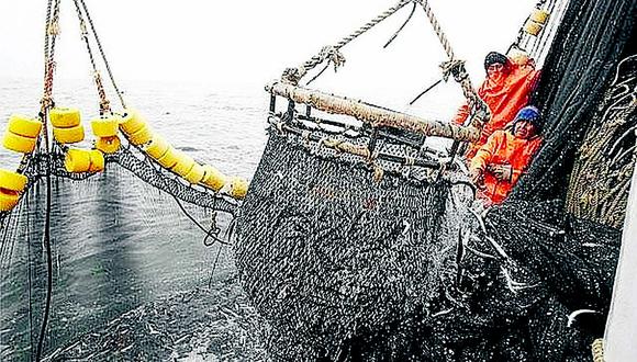 Chimbote: Imarpe no difunde informe sobre pesca
