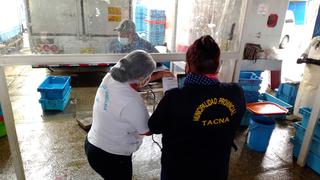 Tacna: Autoridades intervienen sección de pescados previo a la Semana Santa (VIDEO)
