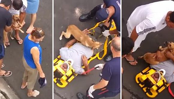 Perro no abandonó a su dueño luego de que este se desmayara en la calle (VIDEO)