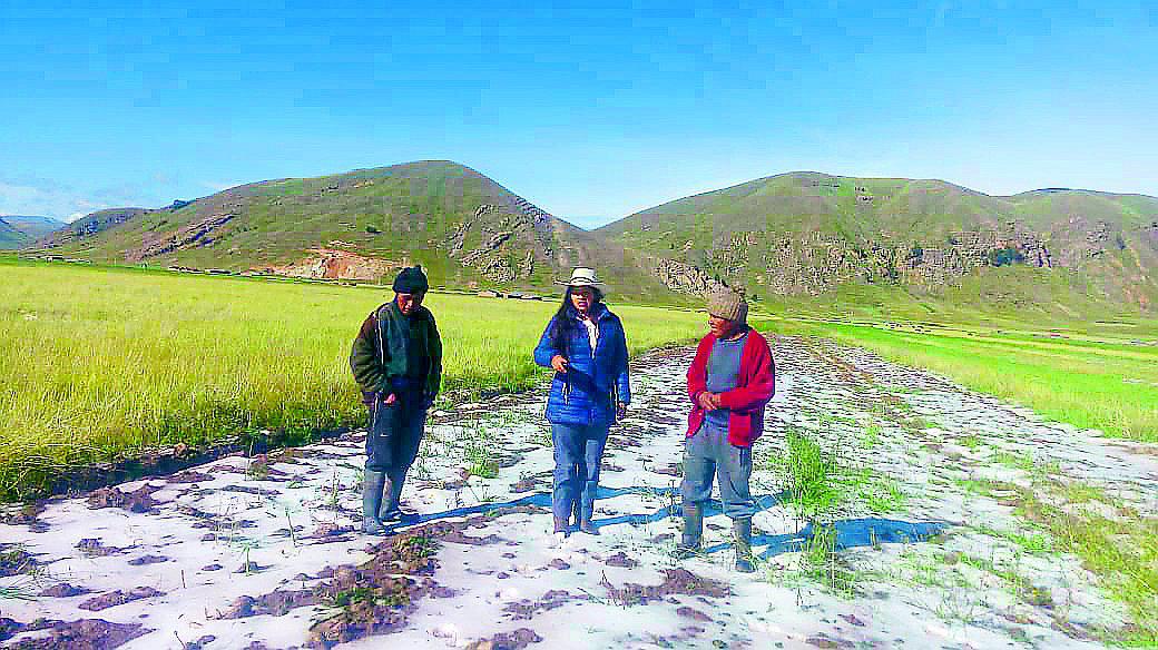 Precipitaciones sólidas afectaron campos de cultivo en Tirapata