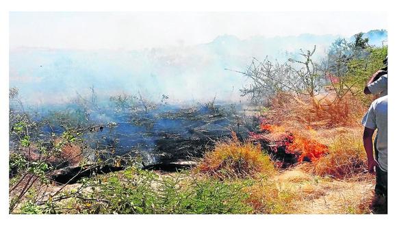 Incendio forestal arrasa con más de seis hectáreas y pone   en riesgo cientos de casas