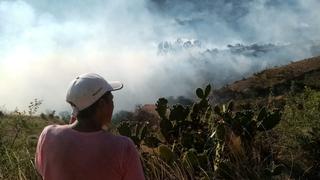 Incendio de cinco días arrasó con más de 130 hectáreas en Ayacucho