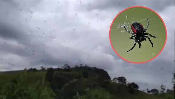 La sorprendente "lluvia de arañas" que ha impresionado y asustado a miles de brasileños (VIDEO)