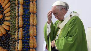 Papa Francisco afligido por las deforestaciones 