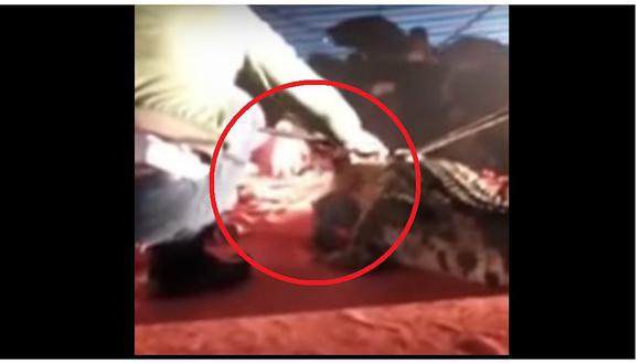 YouTube: Domador colocó su cabeza entre fauces de cocodrilo y ocurrió lo inesperado (VIDEO)