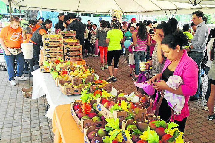 El Ingenio anuncia una nueva edición del Festival del Mango