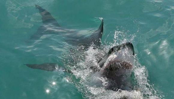 Salva de morir durante varias horas rodeado de tiburones