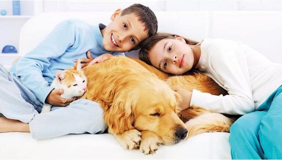 Los niños que crecen con mascotas desarrollan menos alergias en la edad adulta 