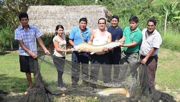 Promueven producción de peces tropicales para beneficiar a 500 familias 