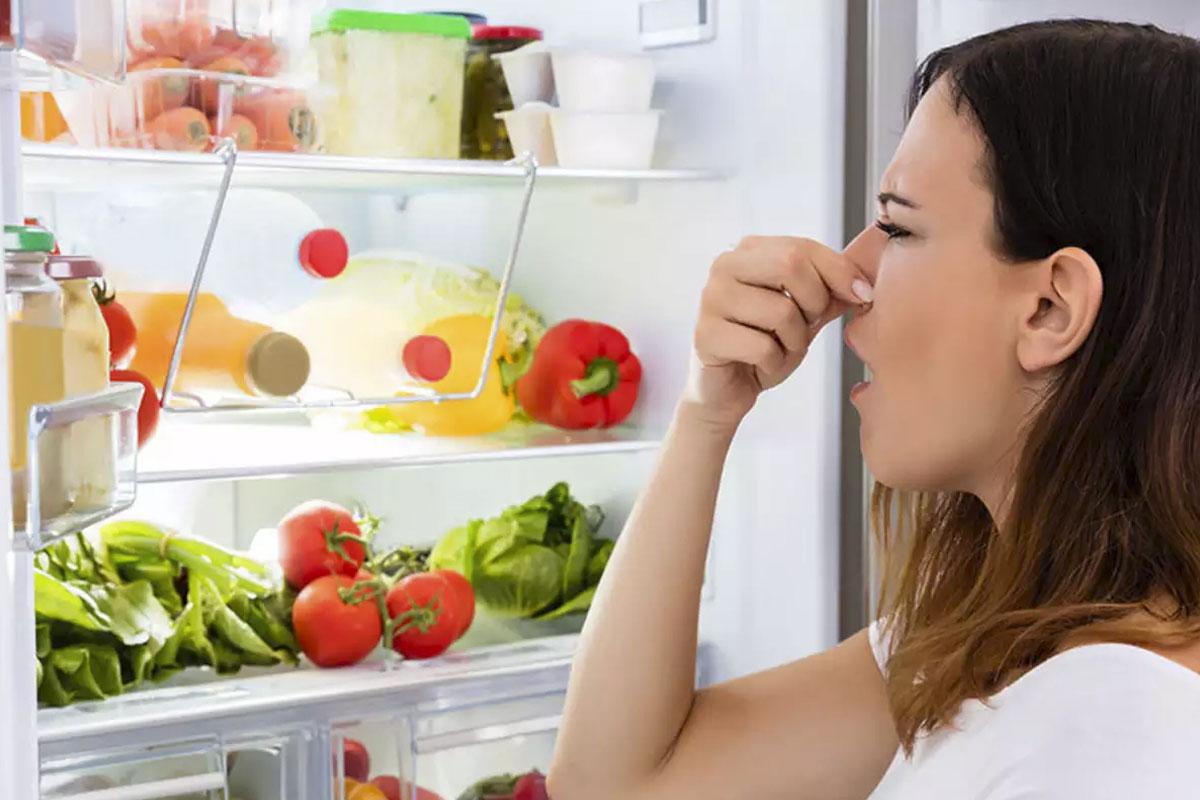 ¿Cómo eliminar el mal olor del refrigerador? (Foto: Pixabay)