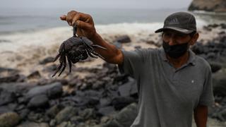 Pescadores de Huaral exigen pronta limpieza del mar tras derrame de petróleo