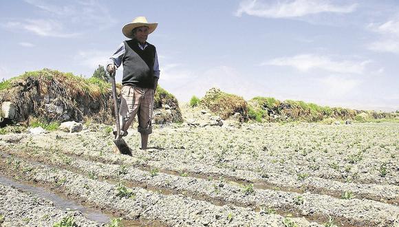 Áncash: Temen perjuicio para 23 mil hectáreas de cultivos por retraso de lluvias