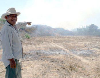 La quema de paja de arroz y sus consecuencias