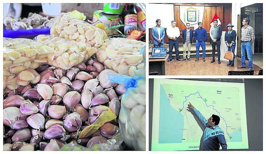 Brasil demanda más ajo chino arequipeño