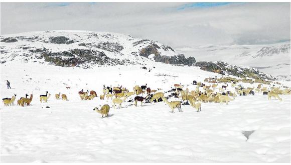 ​El 90% de la región Huancavelica expuesto a vientos y nevadas hasta el jueves