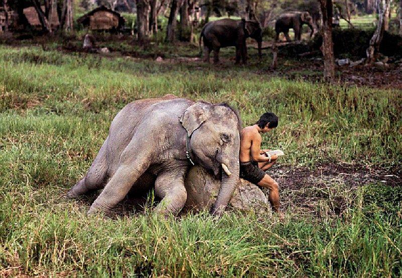 Fotógrafo capta sorprendentes imágenes de lectores de todo el mundo [FOTOS] 