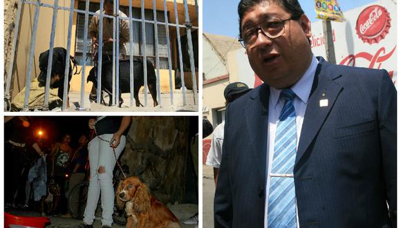 Defensoría del pueblo: "Maltrato animal debe ser penado y castigado en el país"