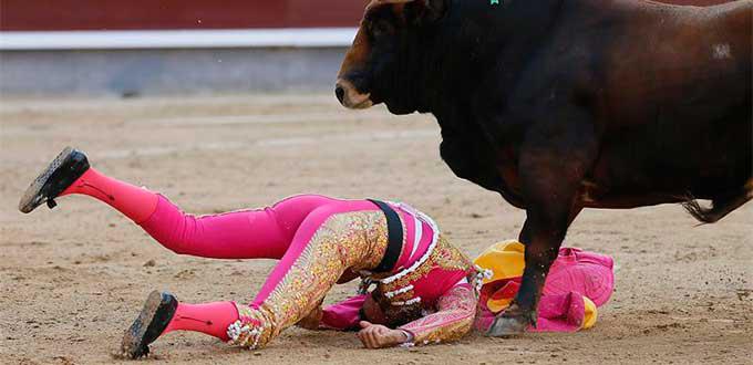 España: Torero peruano Joaquín Galdós fue corneado en Plaza de Las Ventas en Madrid [FOTOS Y VIDEO]