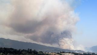 Incendios forestales en zona centro sur de Chile dejan al menos cinco muertos