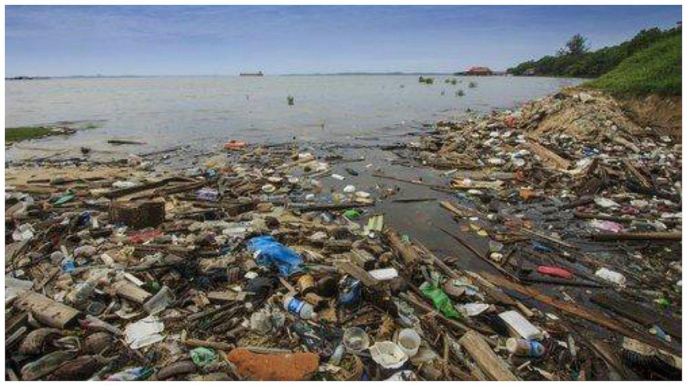 Pérdida de biodiversidad adelantaría la extinción humana