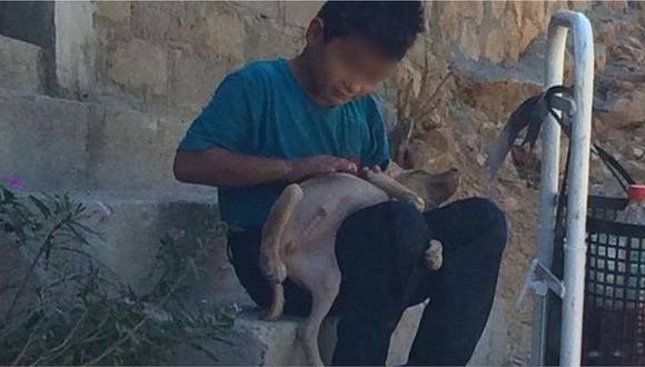 Niño enternece redes sociales al buscarle “pulguitas” a un cachorro callejero (FOTOS)