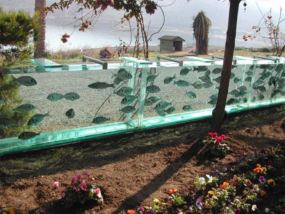 Mira esta inusual manera de cercar una casa