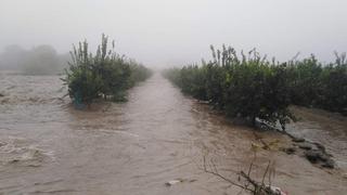 Río Pisco llegó a los 300 m3 causando desborde que afectó casas y campos de cultivo