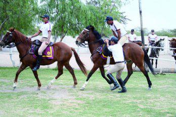 PNP rinde homenaje a caballería