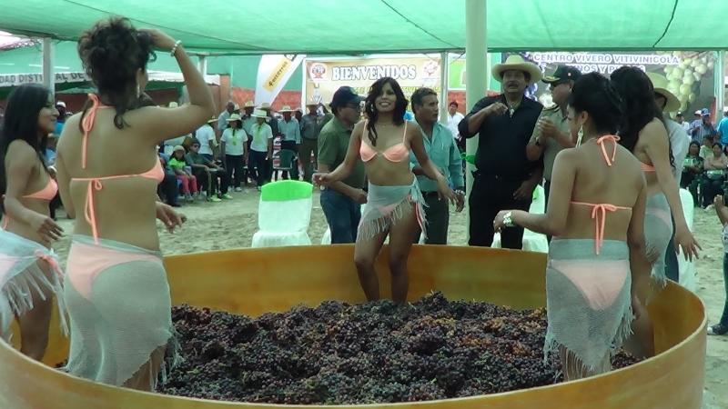 Fiesta de la vendimia en El Pedregal