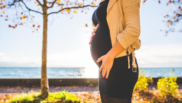 Mujer queda embarazada dos veces con semanas de diferencia: "es un milagro". (Foto: Referencial / Pixabay)