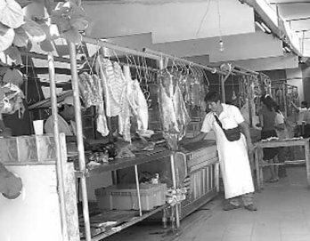 Caballos en el camal de Yerbateros