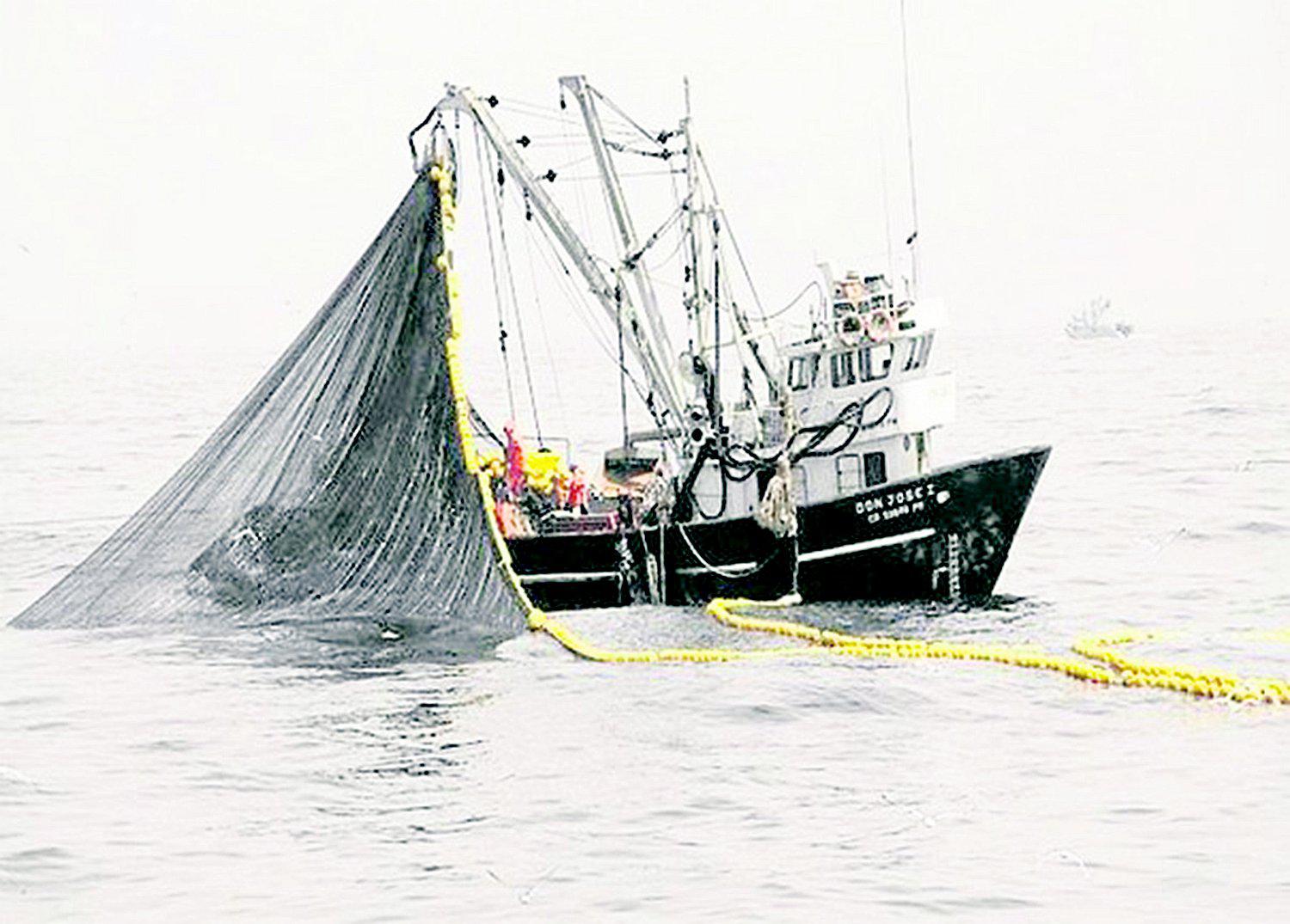 Puerto de Chimbote ocupó el  segundo lugar en pesca de anchoveta 
