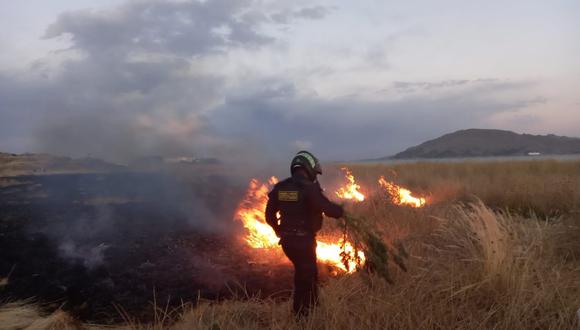 El personal de Serenazgo se enfrentó a las llamas golpeándolas con ramas que encontraron por la zona. (Foto: Difusión)