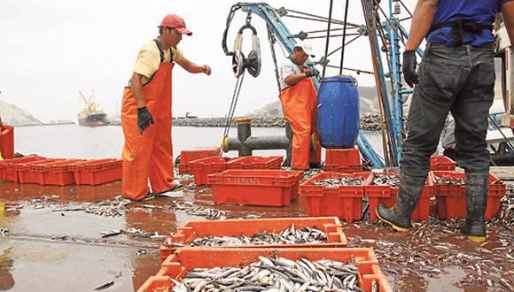 Pesca de anchoveta cae de forma drástica en el sur