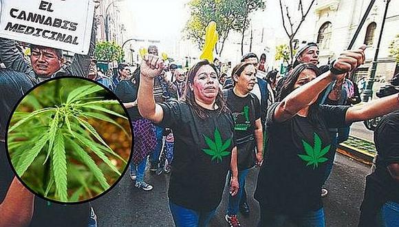 Minsa pone restricciones para el uso del cannabis medicinal 