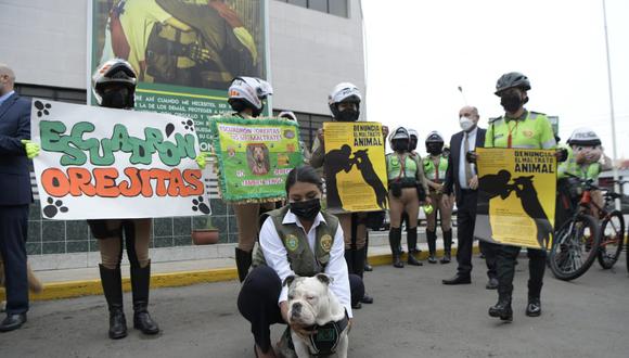 El can, víctima de maltrato animal, fue rescatado por la PNP gracias a la denuncia de vecinos de un condominio. Foto: Mininter