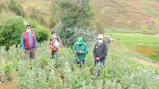 Identifican daños causados al agro por recientes granizadas en Huancavelica